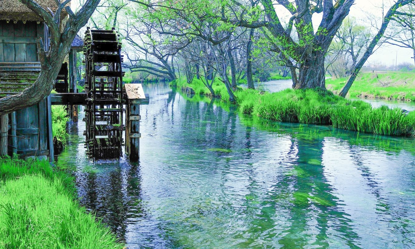 Daio Wasabi Farm Water Wheel