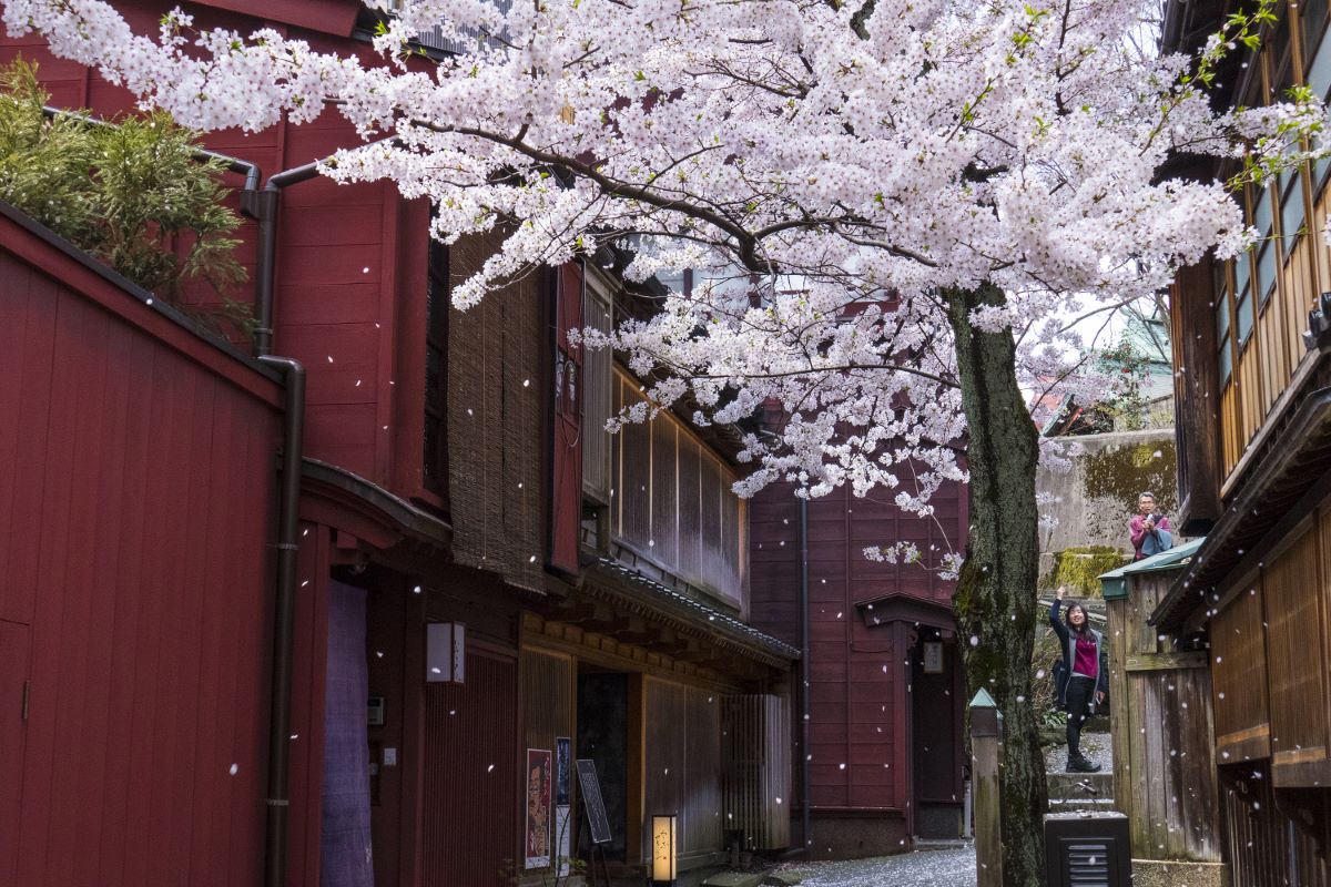KazueMachi Chaya District © Kanazawa