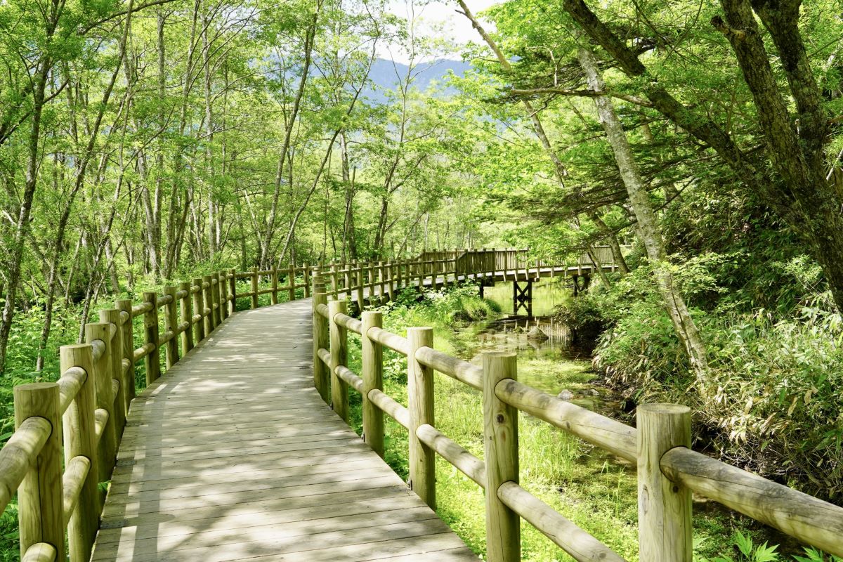 Tashiro Marsh in Kamikochi