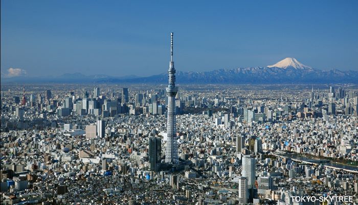 Tokyo SkyTree And Fuji